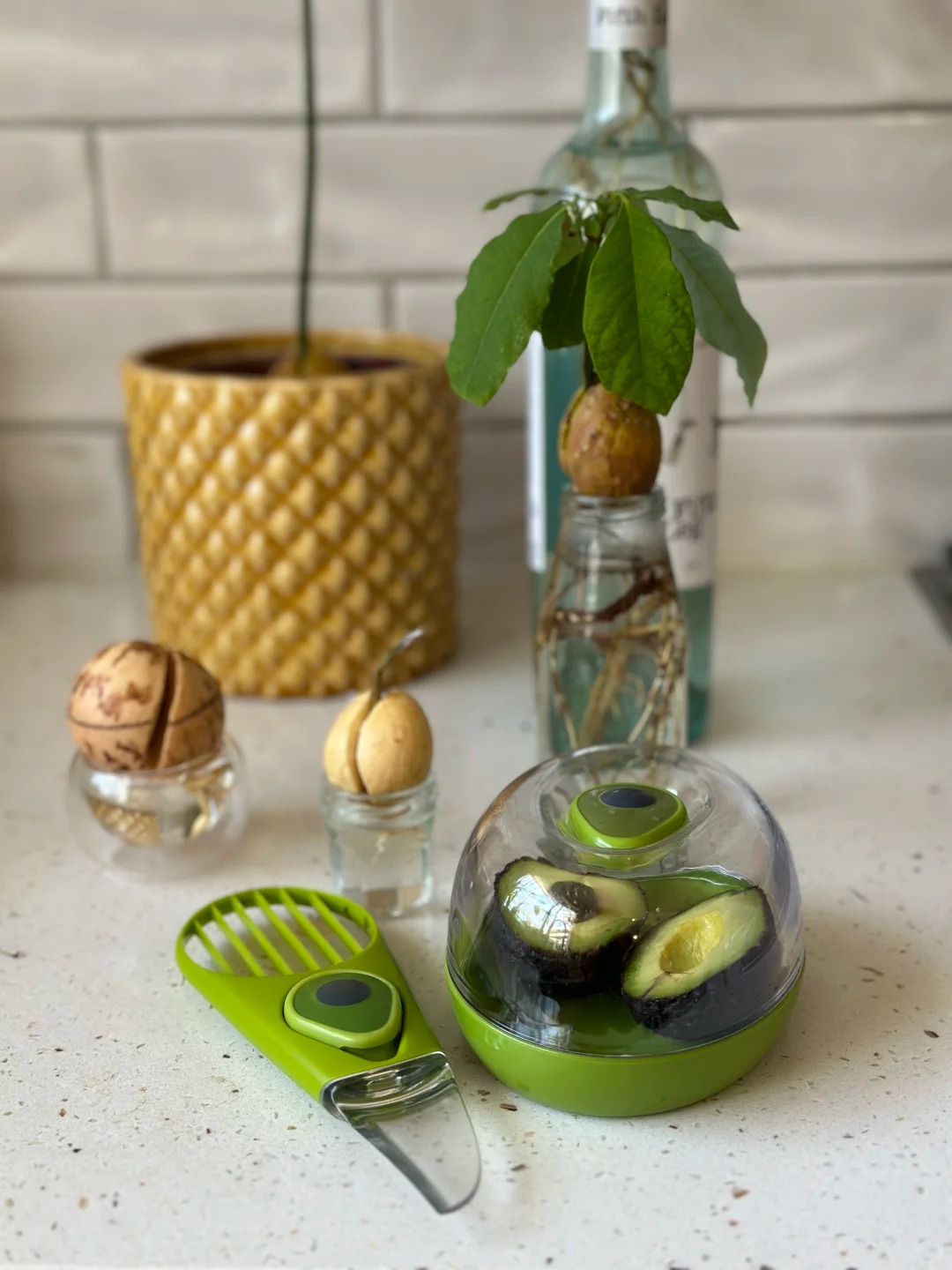 Recipe 6