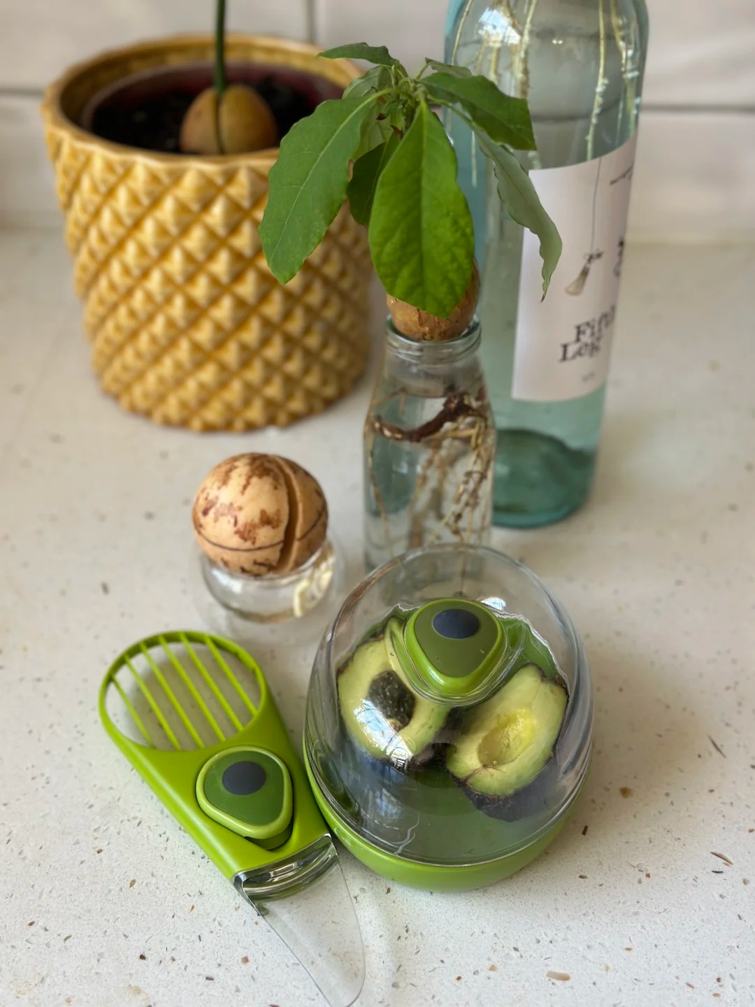 Recipe 8
